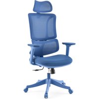 Ergomy Colore - Home Office Bürostuhl Blau