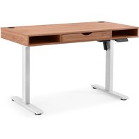 Worktime Style | 120x60 - Elektrisch höhenverstellbarer Schreibtisch Eiche/Weiß