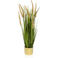 CORTADERIA I - Kunstpflanze Beige/Grün