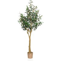 OLIVE II - Kunstpflanze Grün / Schwarz