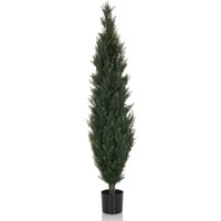 CEDRUS - Kunstpflanze Grün
