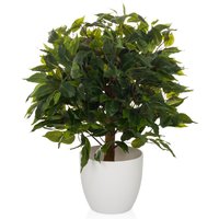 FICUS II - Kunstpflanze Grün