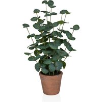 Eucalyptus Bonsai - Kunstpflanze Grün