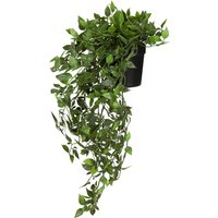 Epipremnum Climb - Kunstpflanze Grün