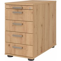 SIGNA SC50 SG - Standcontainer Asteiche Streifengriff Kunststoff