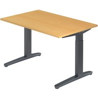 XTRA XB 12 GG | Schreibtisch - Buche 120 x 80 höhenverstellbar