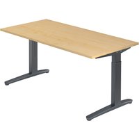 XTRA XB 16 GG | Schreibtisch - Ahorn 160 x 80 höhenverstellbar