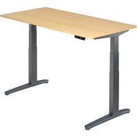XBHM 16 GG | Schreibtisch - Ahorn 160 x 80 elektrisch höhenverstellbar
