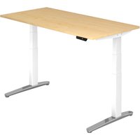 XBHM 16 WC | Schreibtisch - Ahorn 160 x 80 elektrisch höhenverstellbar