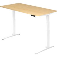 XBHM 16 WW | Schreibtisch - Ahorn 160 x 80 elektrisch höhenverstellbar