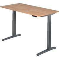XBHM 16 GG | Schreibtisch - 160 x 80 Nussbaum elektrisch höhenverstellbar
