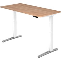 XBHM 16 WC | Schreibtisch - 160 x 80 Nussbaum elektrisch höhenverstellbar