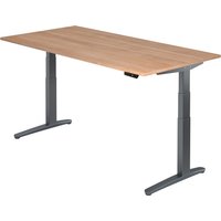 XBHM 2E GG | Schreibtisch - 200 x 100 Nussbaum elektrisch höhenverstellbar