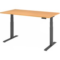 XDKB 16 G | Schreibtisch - Buche 160 x 80 elektrisch höhenverstellbar