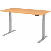 XDKB 16 S | Schreibtisch - Buche 160 x 80 elektrisch höhenverstellbar