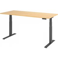 XDKB 19 G | Schreibtisch - Ahorn 180 x 80 elektrisch höhenverstellbar