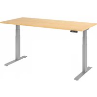 XDKB 19 S | Schreibtisch - Ahorn 180 x 80 elektrisch höhenverstellbar