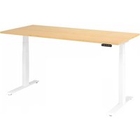 XDKB 19 W | Schreibtisch - Ahorn 180 x 80 elektrisch höhenverstellbar