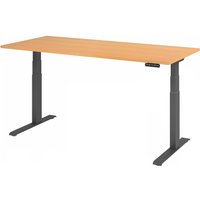 XDKB 19 G | Schreibtisch - Buche 180 x 80 elektrisch höhenverstellbar