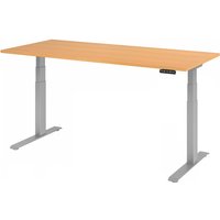 XDKB 19 S | Schreibtisch - Buche 180 x 80 elektrisch höhenverstellbar