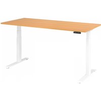 XDKB 19 W | Schreibtisch - Buche 180 x 80 elektrisch höhenverstellbar