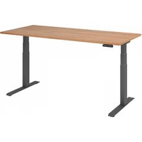 XDKB 19 G | Schreibtisch - 180 x 80 Nussbaum elektrisch höhenverstellbar
