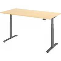 XDLR 16 G | 160x80 | Schreibtisch elektrisch höhenverstellbar - Ahorn 160 x 80 elektrisch höhenverstellbar