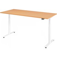XDLR 19 W | 180x80 | Schreibtisch elektrisch höhenverstellbar - Buche 180 x 80 elektrisch höhenverstellbar