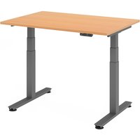 XDSM 12 G | Schreibtisch - Buche 120 x 80 elektrisch höhenverstellbar