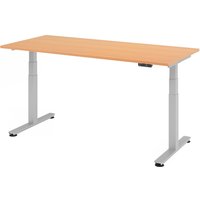 XDSM 19 S | Schreibtisch - Buche 180 x 80 elektrisch höhenverstellbar