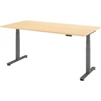 XDSM 2E G | Schreibtisch - Ahorn 200 x 100 elektrisch höhenverstellbar