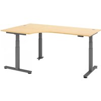 XDSM 82 G | Schreibtisch - Ahorn 200 x 120 elektrisch höhenverstellbar