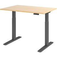 XMKA 12 G | Schreibtisch - Ahorn 120 x 80 elektrisch höhenverstellbar