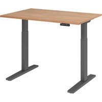 XMKA 12 G | Schreibtisch - 120 x 80 Nussbaum elektrisch höhenverstellbar