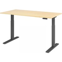 XMKA 16 G | Schreibtisch - Ahorn 160 x 80 elektrisch höhenverstellbar
