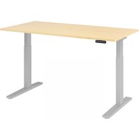 XMKA 16 S | Schreibtisch - Ahorn 160 x 80 elektrisch höhenverstellbar