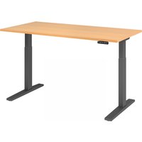 XMKA 16 G | Schreibtisch - Buche 160 x 80 elektrisch höhenverstellbar