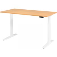 XMKA 16 W | Schreibtisch - Buche 160 x 80 elektrisch höhenverstellbar