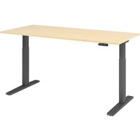 XMKA 19 G | Schreibtisch - Ahorn 180 x 80 elektrisch höhenverstellbar