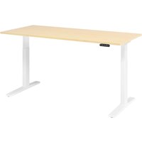XMKA 19 W | Schreibtisch - Ahorn 180 x 80 elektrisch höhenverstellbar