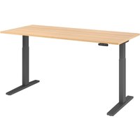 XMKA 19 G | Schreibtisch - 180 x 80 Eiche elektrisch höhenverstellbar
