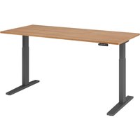 XMKA 19 G | Schreibtisch - 180 x 80 Nussbaum elektrisch höhenverstellbar