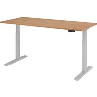 XMKA 19 S | Schreibtisch - 180 x 80 Nussbaum elektrisch höhenverstellbar