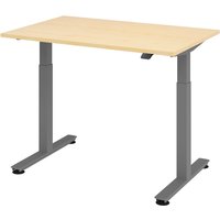 XMST 12 G | 120x80 | Schreibtisch elektrisch höhenverstellbar - Ahorn 120 x 80 elektrisch höhenverstellbar