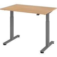 XMST 12 G | 120x80 | Schreibtisch elektrisch höhenverstellbar - 120 x 80 Eiche elektrisch höhenverstellbar