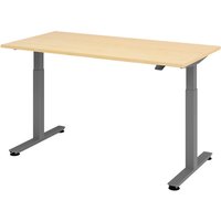 XMST 16 G | 160x80 | Schreibtisch elektrisch höhenverstellbar - Ahorn 160 x 80 elektrisch höhenverstellbar
