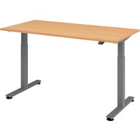 XMST 16 G | 160x80 | Schreibtisch elektrisch höhenverstellbar - Buche 160 x 80 elektrisch höhenverstellbar