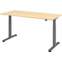 XMST 19 G | 180x80 | Schreibtisch elektrisch höhenverstellbar - Ahorn 180 x 80 elektrisch höhenverstellbar