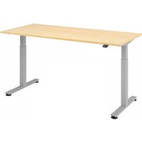 XMST 19 S | Schreibtisch - Ahorn 180 x 80 elektrisch höhenverstellbar