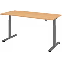 XMST 19 G | 180x80 | Schreibtisch elektrisch höhenverstellbar - Buche 180 x 80 elektrisch höhenverstellbar